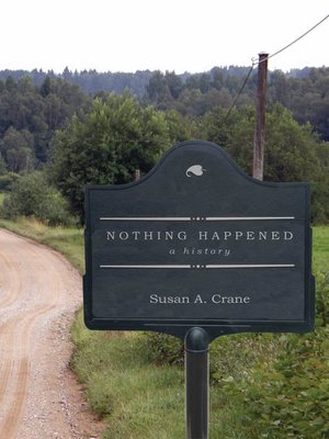 cover image of Nothing Happened